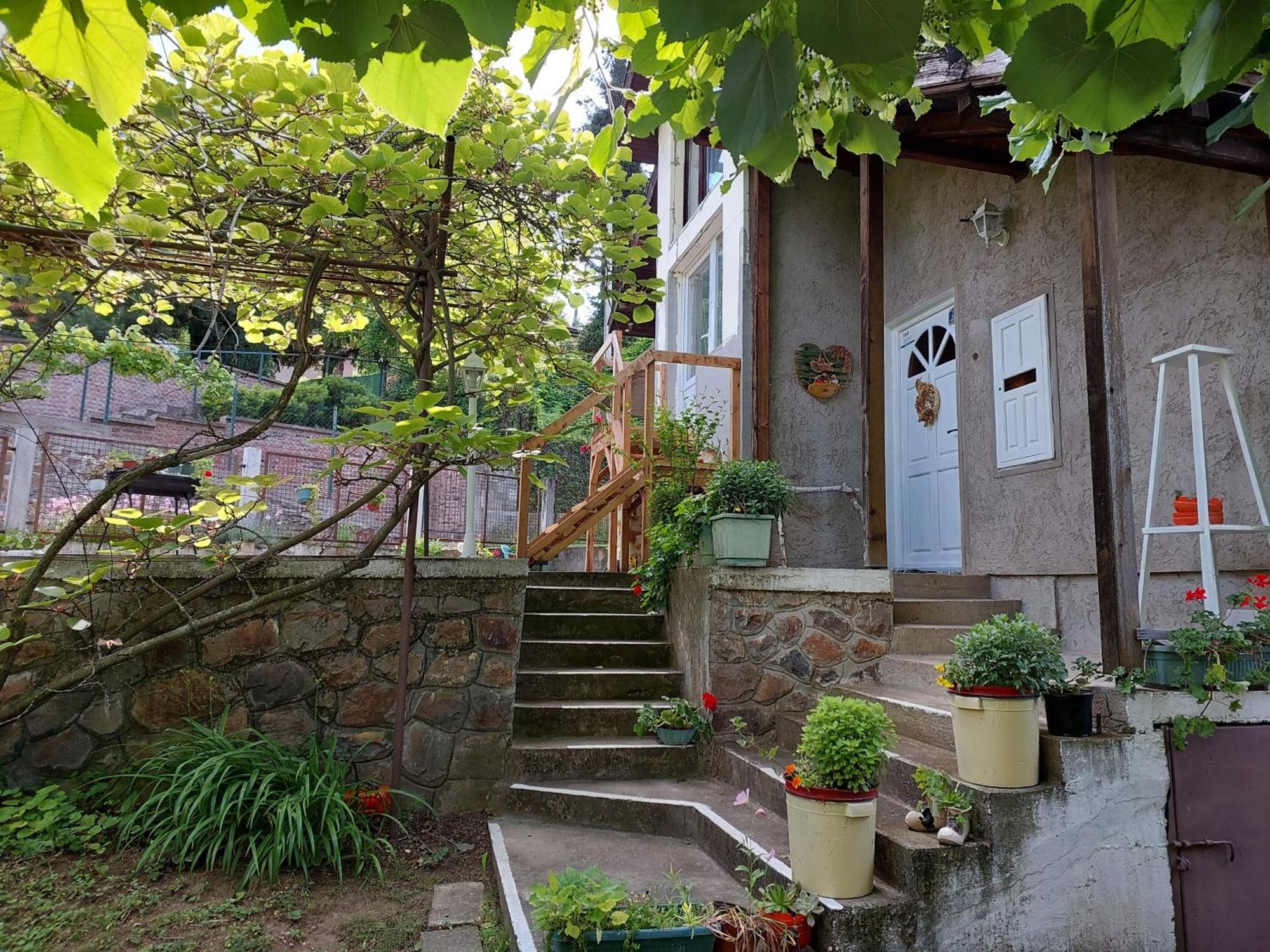 Apartman Nikola Rakovac Εξωτερικό φωτογραφία
